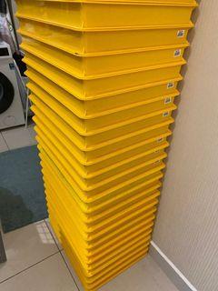 Tray Kuning
