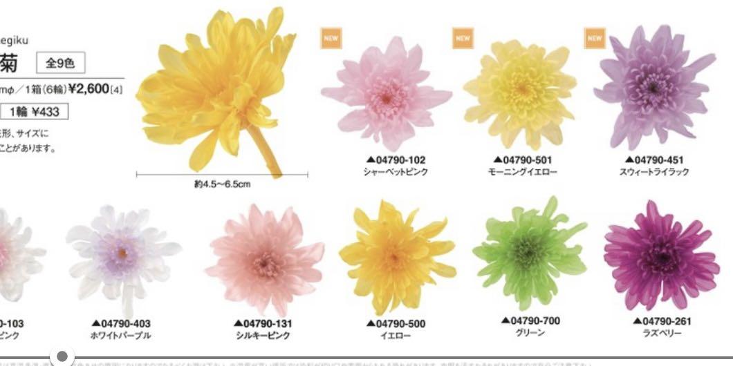 直送 大地農園永生花材菊花 Xxx Earthmatters Preserved Chrysanthemum 興趣及遊戲 手作 自家設計 文具及工藝 花 Carousell 直送 大地農園永生花材菊花 Xxx Earthmatters Preserved Chrysanthemum 興趣及遊戲 手作 自家設計 文具及工藝 花 Carousell