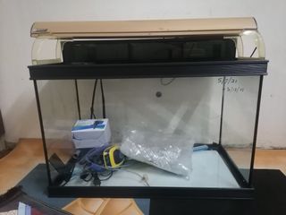 (Category: ) located in . Submitted by kasyi (Listing ID 1115913088, Image 1). Description: .