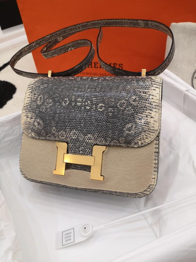 Hermes Ombré Lizard Constance Mini 18/19 Handbag Bag