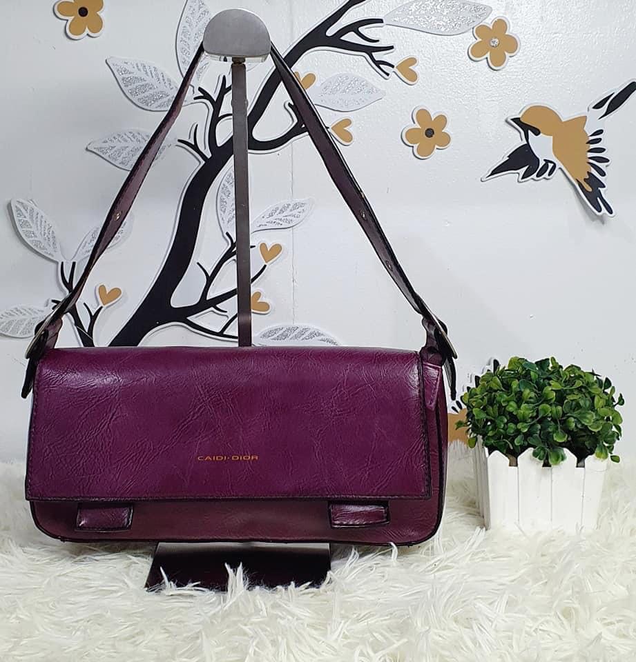 Caidi deals dior bag