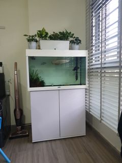 (Category: ) located in . Submitted by brappaje (Listing ID 1115978810, Image 1). Description: .