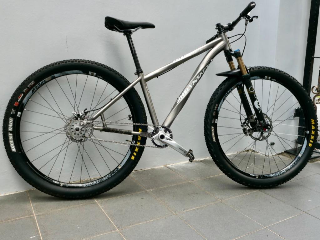 Titanium single speed 29er store