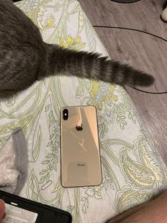 （分類：）位於 。 由 hangbulam 提交（商品編號 1115867335，圖片 1）。簡介： 。