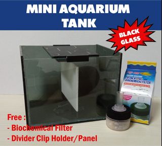 (Category: ) located in . Submitted by scashop (Listing ID 1116080672, Image 1). Description: .