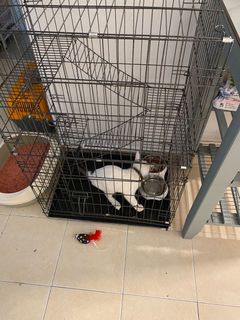 (Category: ) located in . Submitted by sleepyser (Listing ID 1116147495, Image 1). Description: .