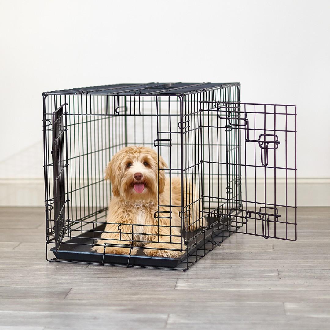 wire dog crate accessories