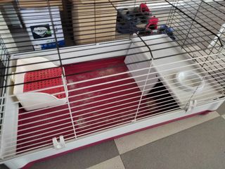 (Category: ) located in . Submitted by wanling109 (Listing ID 1116253009, Image 1). Description: .