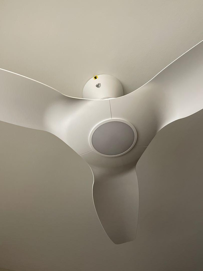 Haiku L Series (Brand New) Fan, Furniture & Home Living, Lighting