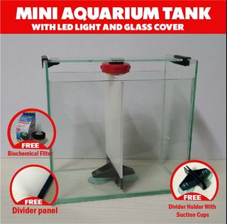 (Category: ) located in . Submitted by scashop (Listing ID 1116087819, Image 1). Description: .