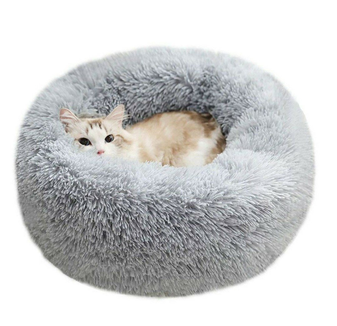 circular cat bed