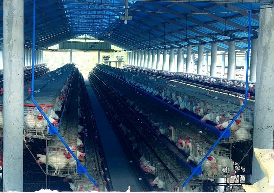 uPVC Heat Resistant Roofing, Commercial & Industrial, Construction