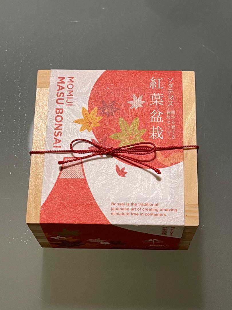 聖新陶芸紅葉盆栽培植套裝 其他 其他 Carousell