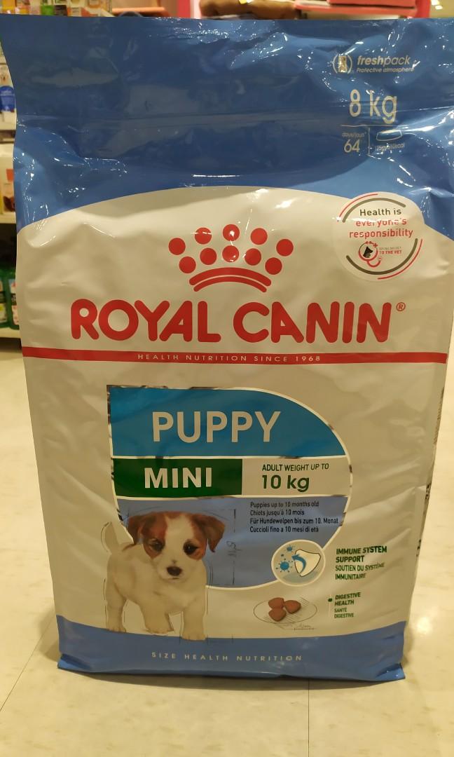 royal canin 8kg mini