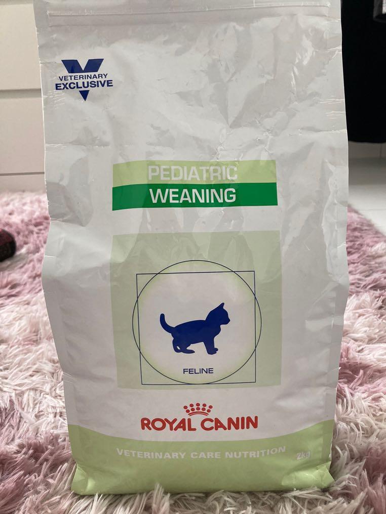 Royal canin pediatric weaning deals kitten