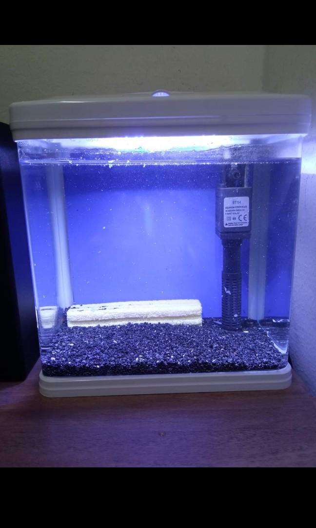 Table aquarium (cod kepong), Pet Supplies, Homes & Other Pet