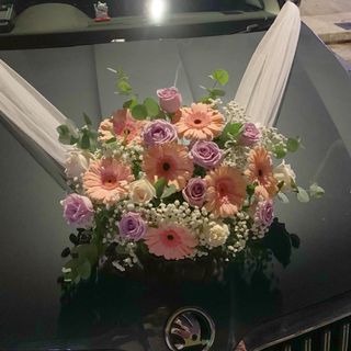 (Category: ) located in . Submitted by magicalblooms (Listing ID 1116384157, Image 1). Description: .