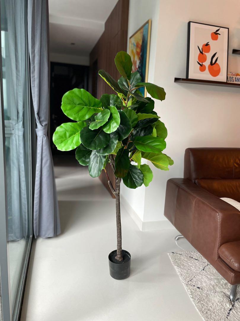 Fake fiddle leaf fig plant, Furniture & Home Living, Home Decor