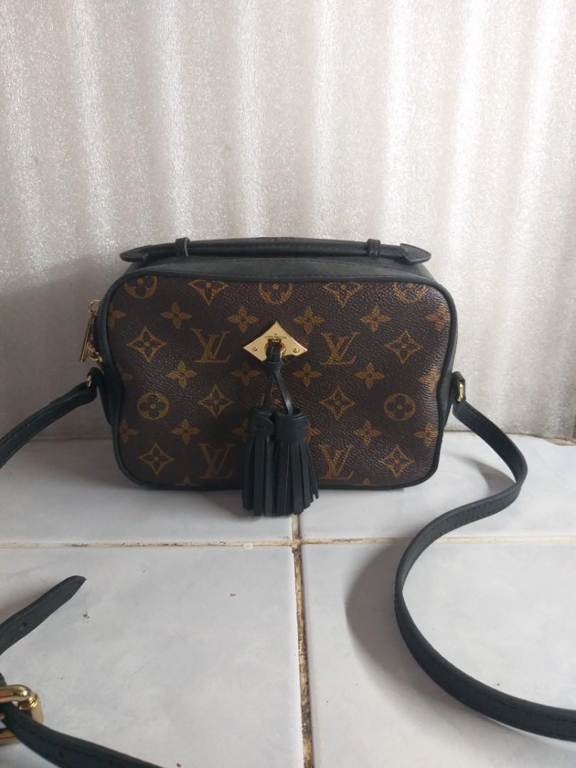 Lv hotsell camera bag
