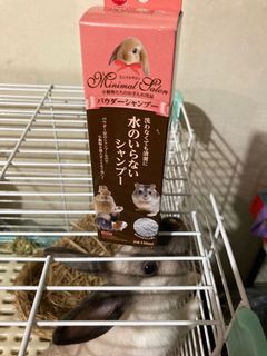 （分類：）位於 。 由 yeeslife 提交（商品編號 1116619031，圖片 1）。簡介： 。
