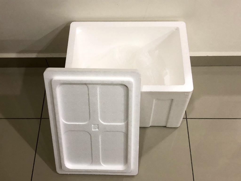 Foam ice box online