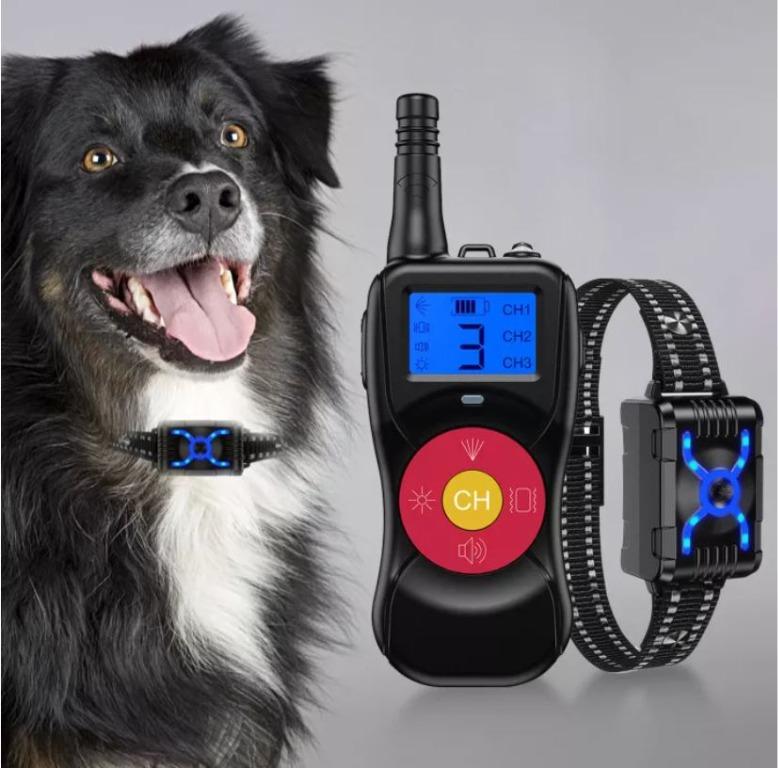 Electronic dog training devices 2025