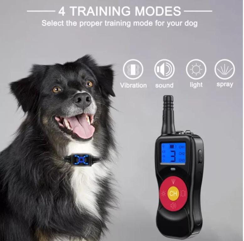 1pc 800m Remote Control Pet Dog Training Collar Waterproof