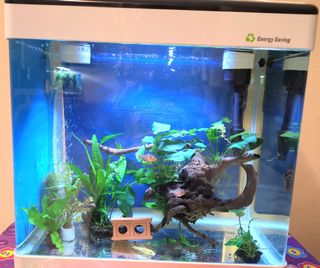(Category: ) located in . Submitted by smohankris (Listing ID 1111315983, Image 1). Description: .
