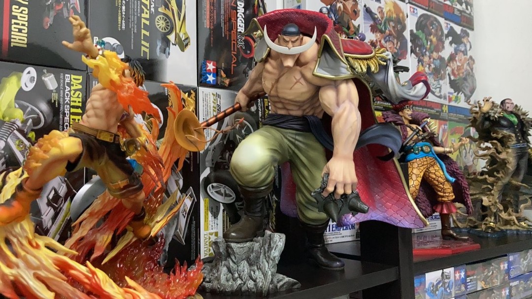 Whitebeard megahouse top