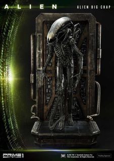（分類：）位於 。 由 kinalien 提交（商品編號 1111306564，圖片 1）。簡介： 。