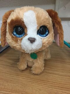 (Category: ) located in . Submitted by angellim (Listing ID 1111392506, Image 1). Description: .