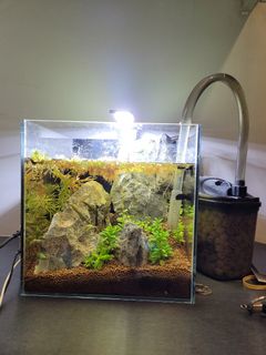 (Category: ) located in . Submitted by bunbun00 (Listing ID 1116792604, Image 1). Description: .