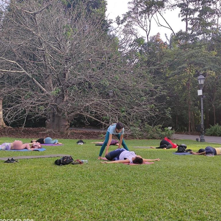 Yoga Morning Garden. Image & Photo (Free Trial)