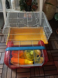 (Category: ) located in . Submitted by cnjchong (Listing ID 1116780353, Image 1). Description: .