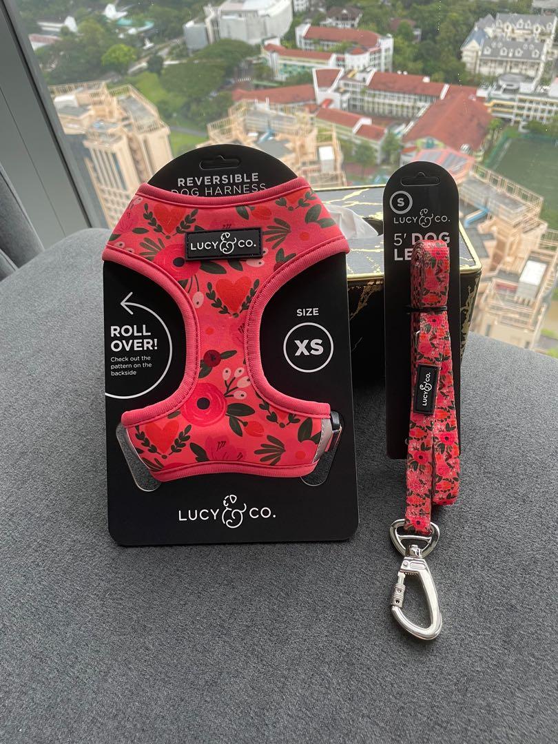 Lucy & best sale co dog harness