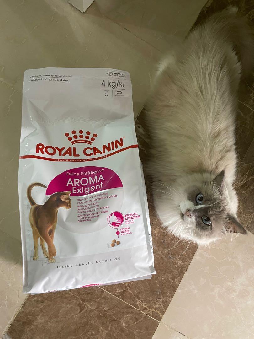 Royal sales canin aroma