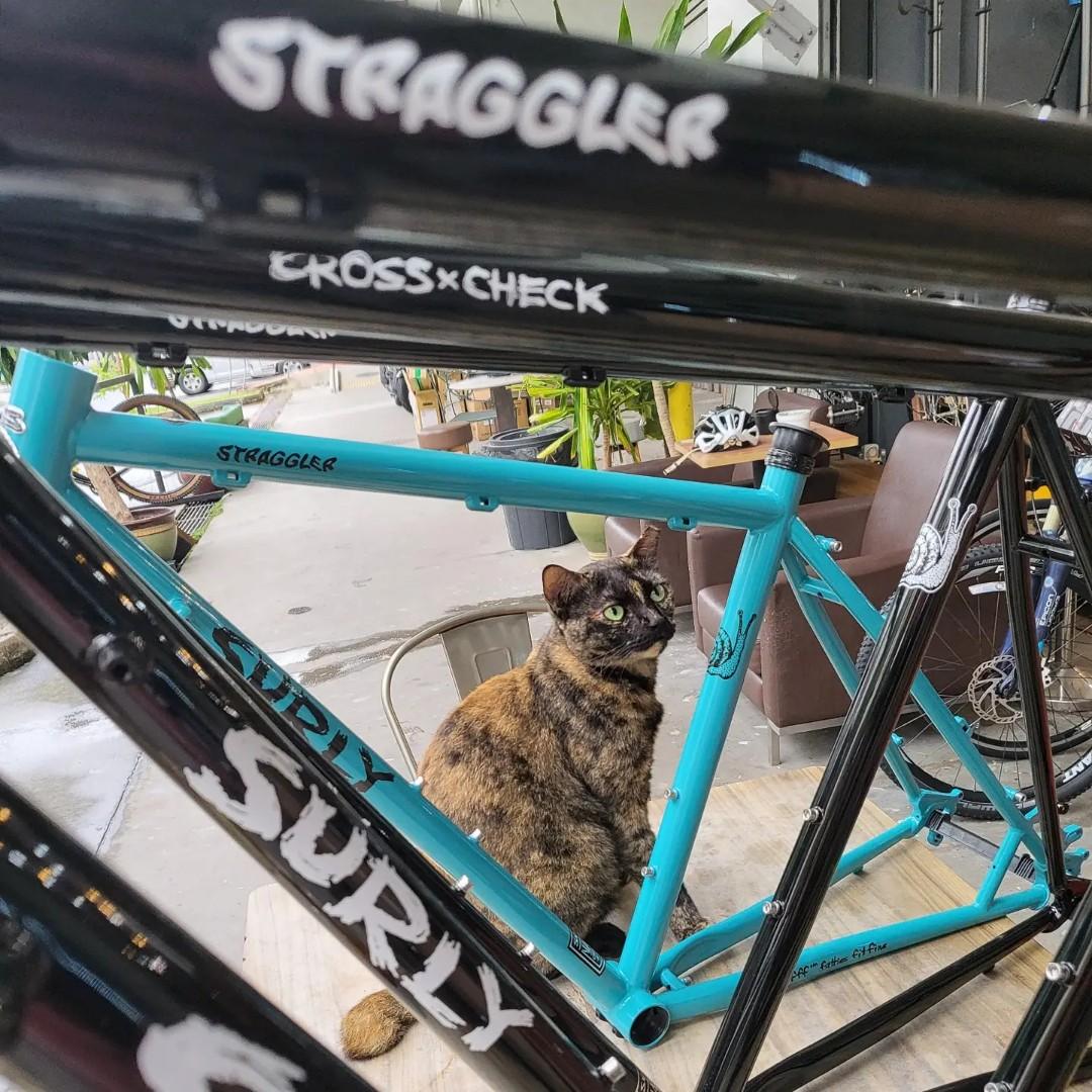 Jual frame surly straggler top