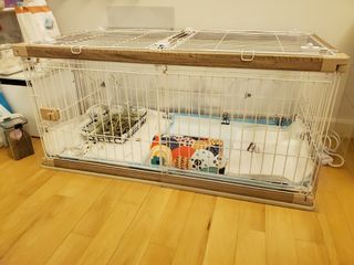 （分類：）位於 。 由 billiemegnum 提交（商品編號 1111620679，圖片 1）。簡介： 。