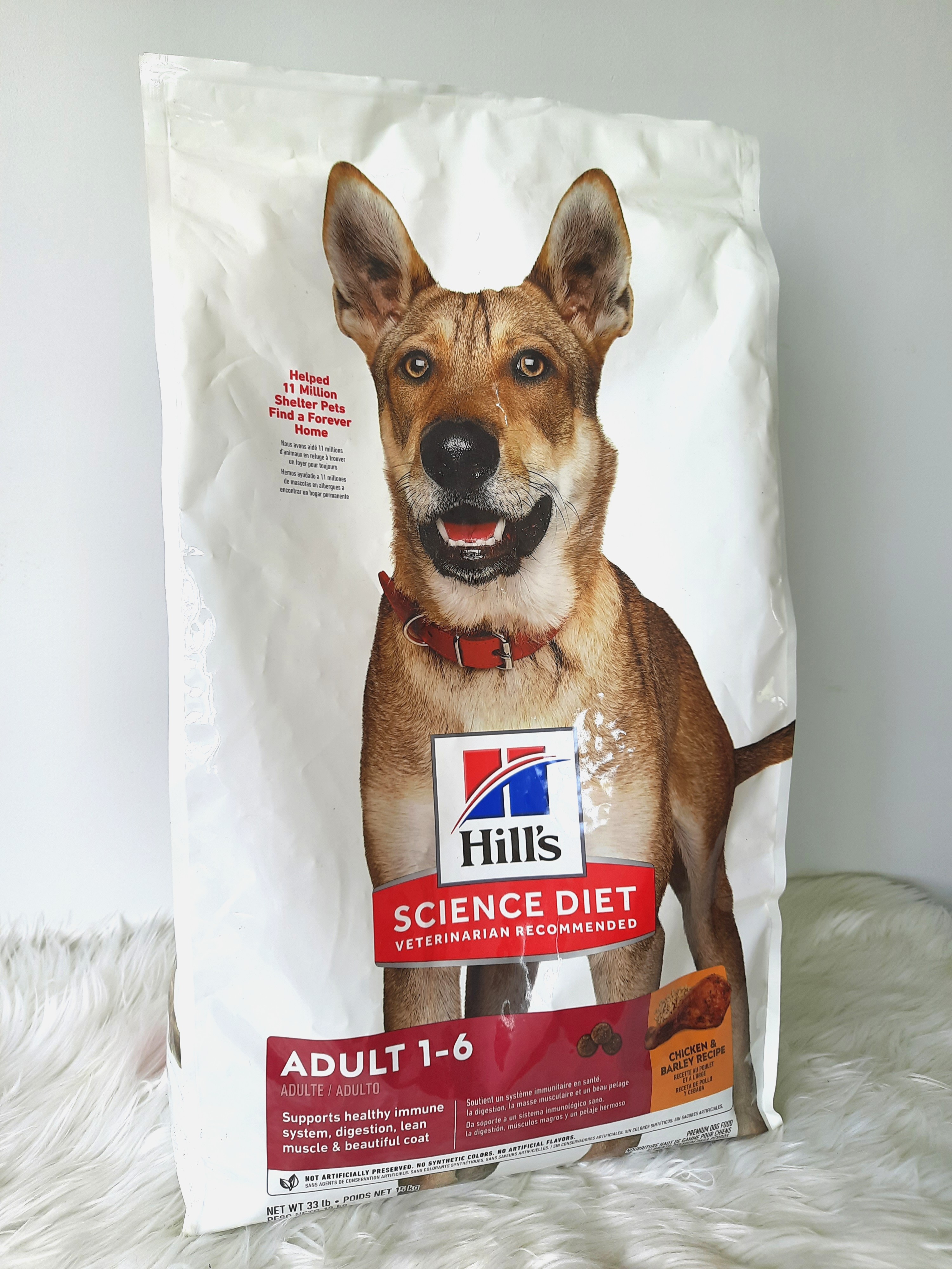 FREE Dog's food, Pet Supplies, Pet Food on Carousell