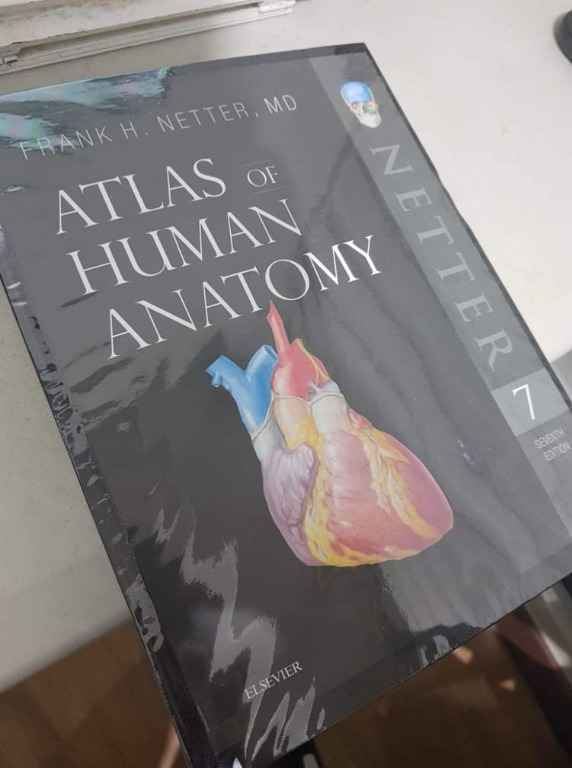Atlas of Human Anatomy by Netter 7th ed (Reprint) , Hobbies & Toys ...