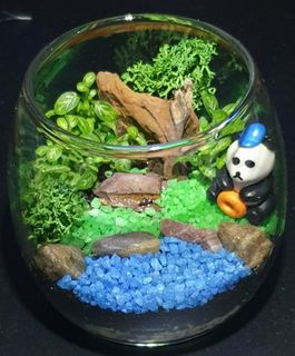 (Category: ) located in . Submitted by my_little_garden (Listing ID 1111588458, Image 1). Description: .