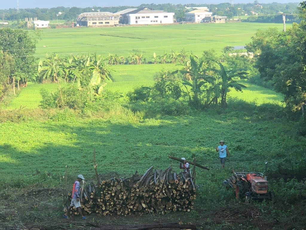 ILOCOS SUR RESIDENTIAL / FARM LOT FOR SALE, Property, For Sale, Lot on