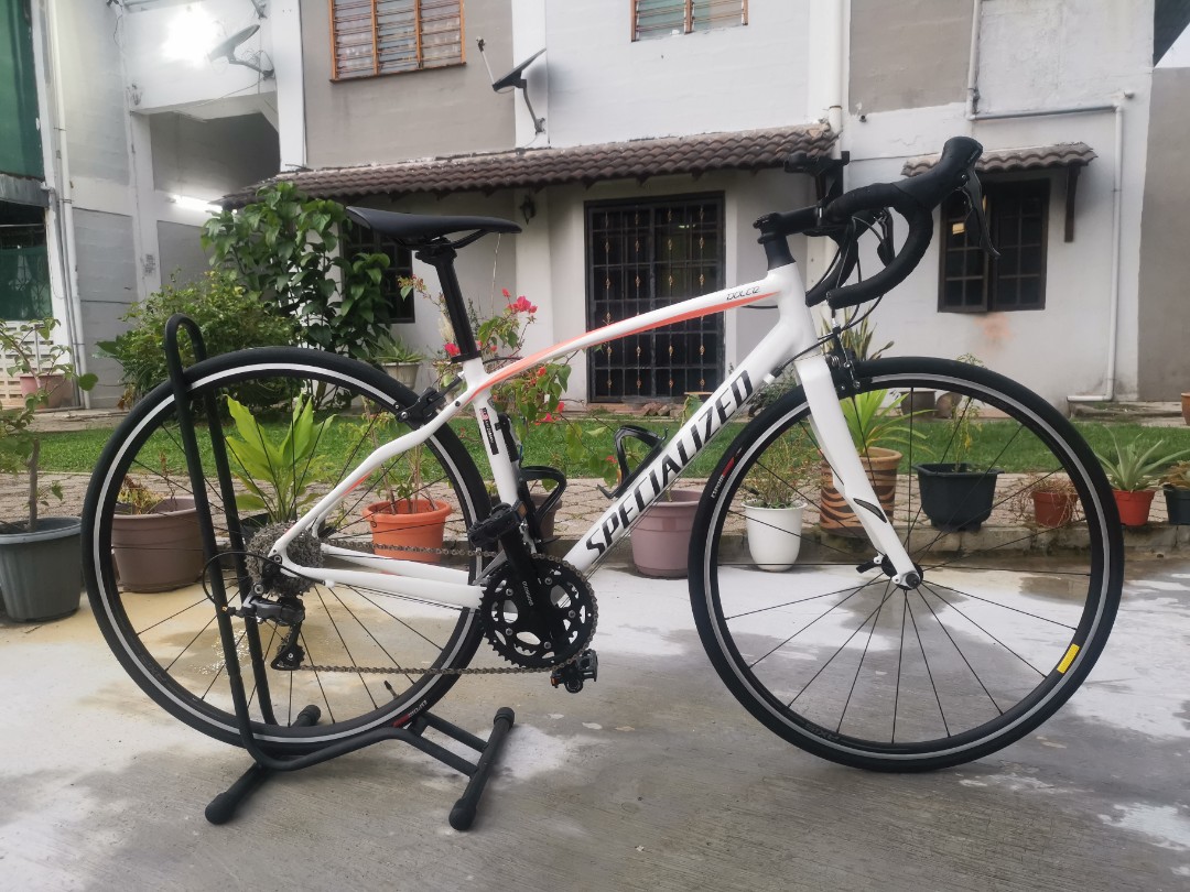 Specialized dolce 51 store