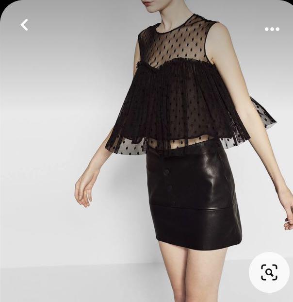 Plumetis tulle skirt sales zara