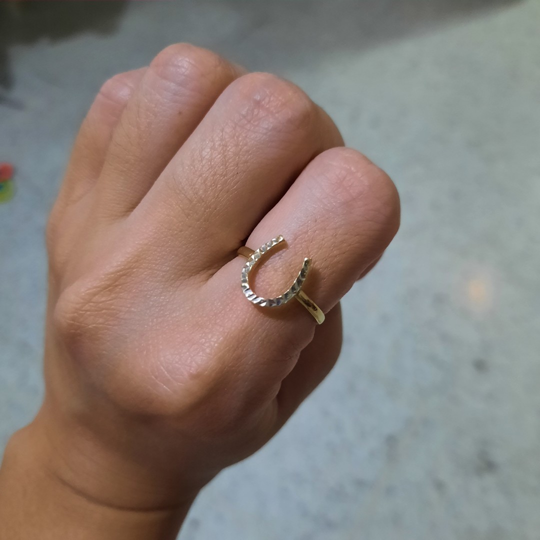 Large Lucky Horseshoe Ring – Graziela Gems