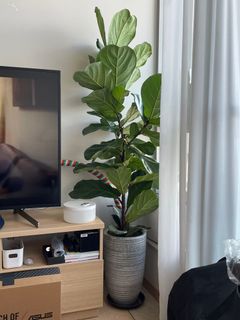 （分類：）位於 。 由 kklee_b 提交（商品編號 1111669625，圖片 1）。簡介： 。