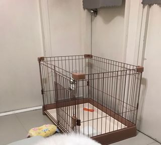 （分類：）位於 。 由 tingchuen 提交（商品編號 1111792672，圖片 1）。簡介： 。