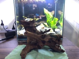 (Category: ) located in . Submitted by ianhanwh (Listing ID 1111773703, Image 1). Description: .