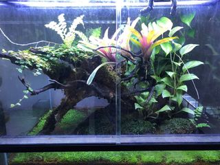 (Category: ) located in . Submitted by flyguy1971 (Listing ID 1111732132, Image 1). Description: .