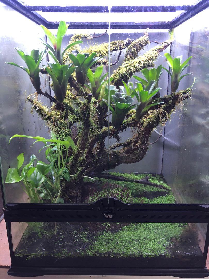 Exo Terra Pro Paludarium günstig kaufen bei